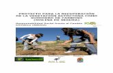 PROYECTO PARA LA RECUPERACIÓN DE LA …cambioclimaticomurcia.carm.es/pdfs/rsco2/proyecto_karkemisdef.pdf · Proyecto para la recuperación de la vegetación autóctona como sumidero