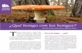 Pero y los hongos… ¿qué? - cienciacompartida.mx · comido un hongo al menos una vez en ... mos clasificados en el Reino Fungi, que en ... versidad de su ecosistema, a la abundancia