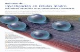 Hablemos de Investigación en células madre - AEEHaeeh.es/wp-content/uploads/2012/05/v5n2a326pdf001.pdf · que permiten la diferenciación de células madre ha-cia un tipo celular