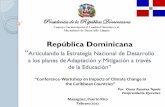 Perspectiva del Gobierno de la República Dominicana · este fenómeno para la República Dominicana. ... mercado de biocombustibles, mejora del ahorro y eficiencia energética, y
