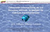 Dimensión Internacional de los recursos hídricos: la gestió Seminario Derecho/Salermo, C. Gestion de... · cuencas transfronterizas ... Colombia y Venezuela, Una gran frontera