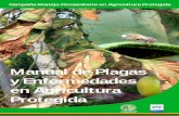 manual agri protegida - CESAVEG · Campaña Manejo Fitosanitario en Agricultura Protegida Manual de Plagas y Enfermedades en Agricultura Protegida. N5 N4 N3 N2 N1 N5 ... con la Secretaría