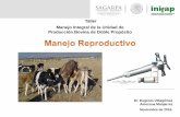 Taller Manejo Integral de la Unidad de Producción Bovina de … · 2018-09-03 · Noviembre de 2016. Taller ... total de leche (tanto la consumida por el becerro como la vendible).