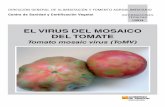 EL VIRUS DEL MOSAICO DEL TOMATE - aragon.esaragon.es/estaticos/GobiernoAragon/Departamentos... · El virus del mosaico del tomate (Tomato mosaic virusToMV) pertenece al género =