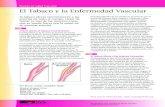 Proteja su Salud Vascular El Tabaco y la Enfermedad …missionsurgical.com/wp-content/uploads/2012/11/Spanish-Smoking... · estimulante que acelera el ritmo cardíaco en unos 20 latidos