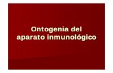 Ontogenia del aparato inmunológico - fcv.unl.edu.ar · ontogenia de la respuesta inmune . lb linfoide linfoblastos lt promonocitos macrÓfagos cÉlula madre mieloide plaquetas hemocitoblastos