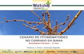 CENÁRIO DE FITONEMATOIDES NO CERRADO DA …fundacaoba.com.br/wp-content/uploads/2017/09/palestra-workshop... · Iolanda Alves; Diana P. Seibel. ... S. Convencional S. Plantio Direto
