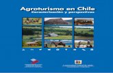 Agroturismo en Chile - gestionturistica.cl · Programa de Turismo Rural, con la creación de circuitos turísticos diseñados a partir de la experiencia de INDAP, FIA, CORFO, SERNATUR