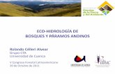 ECO-HIDROLOGÍA DE BOSQUES Y PÁRAMOS … PARALELOS... · 4 Eco-hidrología Durante mucho tiempo la hidrología se relacionó casi exclusivamente con la ingeniería En muchos casos