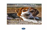 GreenHeart SuperPremiums - doogweb.es · verdad, también hay excelentes adiestrador@s que consiguen que sus perros conecten/desconecten sin "inercias". 3. ... apartados principales