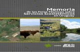 Memoria de los Foros Técnicos sobre Servicios …legacy.iica.int/Esp/regiones/sur/uruguay/Documentos de la... · 2015-05-11 · Los bosques de Uruguay y sus servicios ecosistémicos