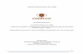 CORPORACIÓN NACIONAL DEL COBRE - codelco.com · - Diseño modular: ... Trazados y suportación de piping. ... poleas motrices y cualquier elemento que presente interferencias.