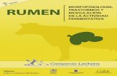 RUMEN - Consorcio Lechero€¦ · Rumen: morfofisiología, trastornos y modulación de la actividad fermentativa ... Este libro es la tercera edición de la recopilación de los trabajos