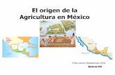 EL ORIGEN DE LA AGRICULTURA EN MESOAMÉRICA · Valle de Tehuacán, Puebla ... • La Agricultura de subsistencia en pleno desarrollo con la utilización ... • Surgimiento del Estado: