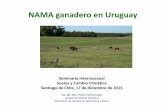NAMA ganadero en Uruguay - iica.int · •En consecuencia, la ganadería es un sector prioritario para acciones de mitigación con ... • Falta de conciencia de que hay una “triple
