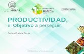 Presentación de PowerPoint - …congresopalmeromexicano.com/femex_congreso/static/images/memori… · Riego y Drenaje Mecanización Manejo Integrado de Plagas & Enfermedades Innovación