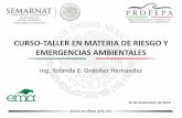 CURSO-TALLER EN MATERIA DE RIESGO Y … · • COMERI 144 Lineamientos para llevar a cabo análisis de riesgo de proceso en instalaciones de Petróleos Mexicanos y Organismos Subsidiarios