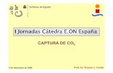 I Jornadas Cátedra E.ON España - catedras.uca.escatedras.uca.es/eon/actividadescatedra/jornadas_catedra/i_jornadas... · de vapor ~ no tratamiento de gases tratamiento de gases