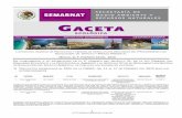 DGIRA/009/10 SEMARNAT/DGIRA P E I R A E P A R …sinat.semarnat.gob.mx/Gacetas/archivos2010/gaceta_9-10.pdf · carriles del puente "la unidad", ... elementos que integran el proyecto: