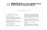 S U M A R I O - Diario Oficial de Extremaduradoe.gobex.es/pdfs/doe/2000/1060o/1060o.pdf · 2011-06-13 · curso abierto para la contratación del suministro de ins- ... de 2000, sobre