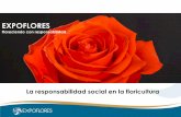 EXPOFLORES - extensiónuniversitariaute · ALERTA!!! Estudios y realidad sobre trabajo infantil en la floricultura 2000 – OIT publicó los resultados de “Ecuador Trabajo Infantil