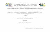 UNIVERSIDAD AUTÓNOMA DE BAJA CALIFORNIA …biblio.uabcs.mx/tesis/TE 2635.pdf · IMPLEMENTACIÓN DE UN SISTEMA FOTOVOLTAICO PARA LA EMPRESA AGRÍCOLA PRODUCTOS ALIMENTICIOS DE LA