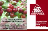 Presentación de PowerPoint - Centro Latinoamericano para ... · Consolidar el desarrollo productivo y social de la familia cafetera, garantizando la sostenibilidad de la caficultura