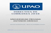 DIRECTIVA DE COBRANZA 2018 - … · Reglamento General Manual de Organización y Funciones ... Ley N° 29947 - Ley de Protección a la Economía Respecto del Pago de Pensiones en