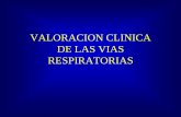 VALORACION CLINICA DE LAS VIAS RESPIRATORIAS · •10-20% en cirugía de cáncer ORL o maxilofacial . EVALUACION PREANESTESICA