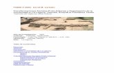 Transformaciones Sociales Proto-Urbanas y … · Culturas: Tlaxcalan, Teotihuacán Cronología: Late Pre-Classic (c. 600 B.C. – A.D. 100) Ubicación: Tlaxcala, México Sitio: La