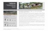 Análisis de Situación - humanitarianresponse.info · presentado cortes de agua en Lima y Arequipa. El Estado ha declarado Emergencias en 12 departamentos (50 por ciento del territorio