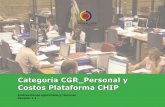 Categoría CGR Personal y Costos Plataforma CHIP · Generalidades La información diligenciada y reportada por las entidades es respon- ... bre de la vigencia a reportar y Formulario:
