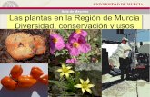 Aula de Mayores Las plantas en la Región de Murcia ... · Parades en crestall Biodiversidad: huertos ecológicos familiaresBiodiversidad: huertos ecológicos familiares. UNIVERSIDAD