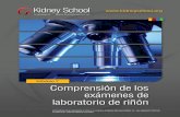 La Escuela de temas relacionados al riñón es un …kidneyschool.org/pdfs/KSModule7_SP.pdf · Tablas de las exámenes de laboratorio..... 7-18 Realice el cuestionario del riñón