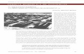 CARPETA MEMORIA/S DE AUSCHWITZ - Universitat de … sombras.pdf · reza el proyecto en el que este ensayo se inscribe, cada momento de esas ... mundo en la primavera de 1945 y La