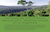 Los bosques: importancia, estructura y situación actual …argentinambiental.com/wp-content/uploads/pdf/AA51-24-Los...Argent… · Son casi invalorables las utilidades que el hombre
