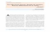 ARTÍCULOS DE REVISIÓN - pemex.com · criterio clínico de sepsis con hipotensión persistente, ... al manejo hemodinámico y al fracaso de diversos tra-tamientos en estudios clínicos,