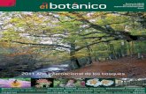 2011 Año internacional de los bosques - jbotanicos.org · Editorial El año 2011 es el AÑO INTERNACIONAL DE LOS BOSQUES, superando los individuos, incluso las plantaciones arbó-reas