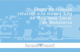 GT Ley Régimen Local - parlamentodeandalucia.es · relativo a la nueva Ley de Régimen Local de Andalucía, ... importancia al tema de la organización territorial de la Comunidad