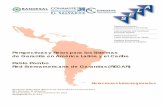 Perspectivas y Retos para los Sistemas de Garantía en ... · San Salvador, El Salvador 31 de octubre ... SITUACIÓN ACTUAL Y ... efectos negativos no deseados en la financiación