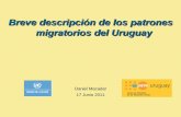 Breve descripción de los patrones migratorios del … · Población de 5 años y más según lugar de residencia en 1991 y 1996 ... España 30,3 34,1 30,6 23,4 20,6 ... Poblacion