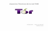 Aspectos Técnicos de la red TOR - profesores.elo.utfsm.clprofesores.elo.utfsm.cl/.../1s14/projects/reports/G19/Informe_TOR.pdf · Las conexiones entre los dos repetidores Tor, o