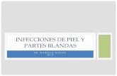 INFECCIONES DE PIEL Y PARTES BLANDASecaths1.s3.amazonaws.com/infectologiaenfermeria/656577628.T 04... · INFECCIONES DE PIEL Y TEJIDOS BLANDOS Piel, anejos, t. celular subcutaneo,
