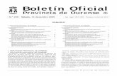 Provincia de Ourense - Ayuntamiento de Pereiro de … · especial fincapé na lectura, audición, conversa e escritura, por esta orde. * Contribuír a facilita-la adquisición de