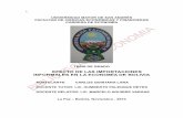 INFORMALES EN LA ECONOMÍA DE BOLIVIAbibliotecadigital.umsa.bo:8080/rddu/bitstream/123456789/2037/1/T... · Compendio Estadístico de Comercio Exterior - Bolivia 1980 -2002 IBCE En