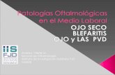 Andrea Oleñik M. Servicio de Oftalmología Madrid y... · LXXX ponencia oficial de la Sociedad Espanola de Oftalmologia. 2004 Dry Eye and Ocular Surface Disorders. Stephen C. Pflugfelder,