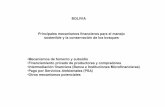 BOLIVIA Principales mecanismos financieros para el … · sostenible y la conservación de los bosques ... aprovechamiento Patente de desmonte $ Recaudaciones por concepto de patentes
