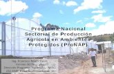Programa Nacional Sectorial de Producción Agrícola en ... · electrónica de información, 7.Propiciar el diseño y desarrollo de bases de datos, 8. Promoción y ... los agentes