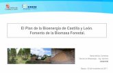 El Plan de bioenergía de Castilla y León. Fomento de ... · •El Plan de la Bioenergía de Castilla y León -PBCyL. • Situación actual de la bioenergía en Castilla y León.