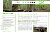 2017 4 PEFC · a la Junta de Castilla y León, el Minis-terio de Agricultura y Pesca, Alimen-tación y Medio Ambiente, y la platafor- ... "El desarrollo de la bioenergía en general
